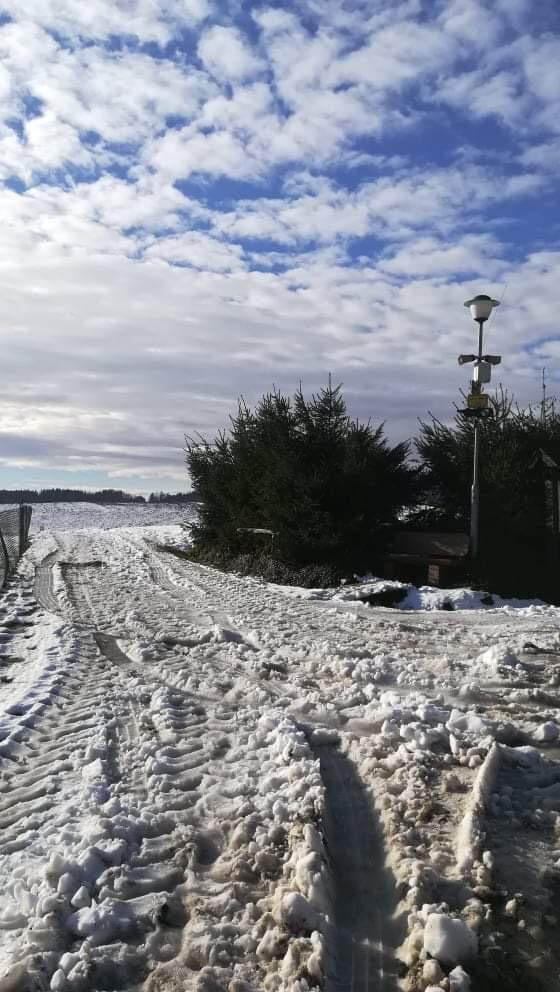 Po stopách zvířátek...družinka - 4