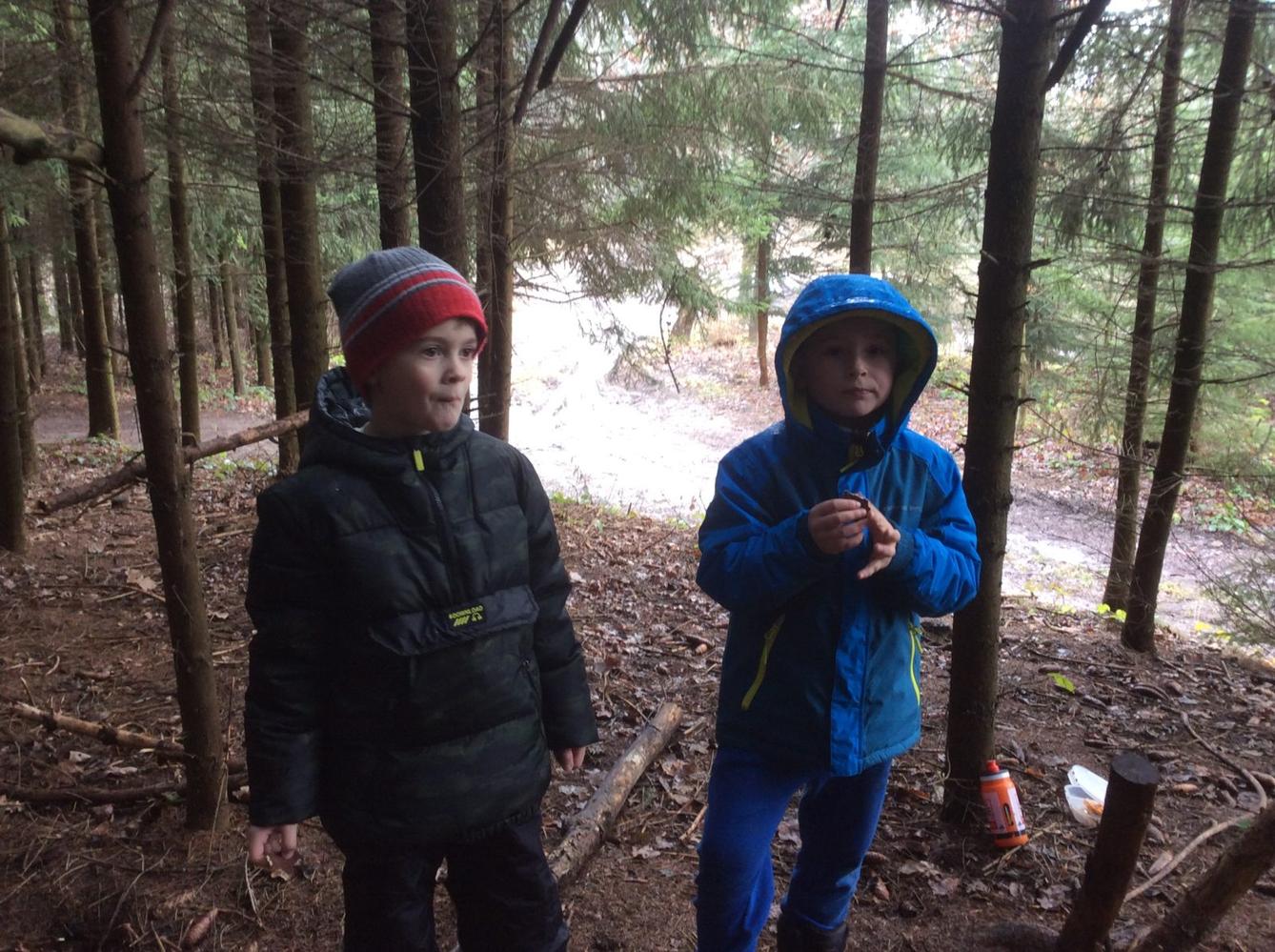 Vycházka k lesu - 8