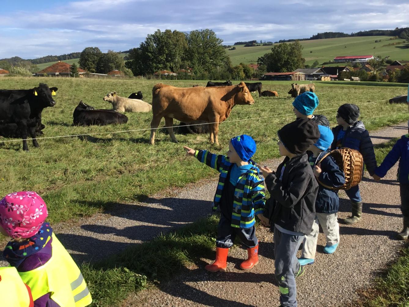 "Kam chodí broučci spát" - 47