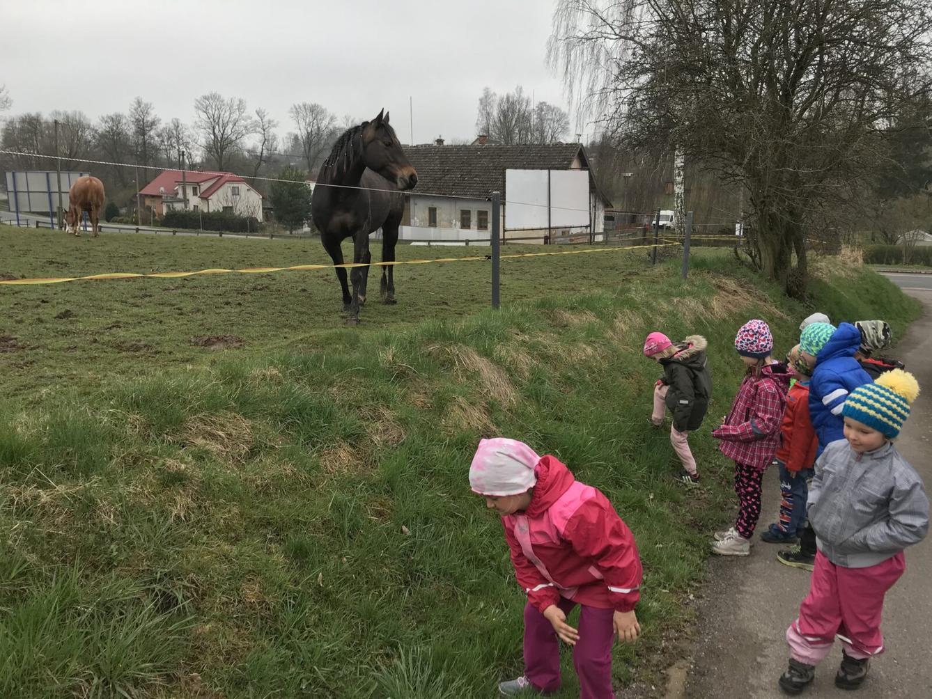 PŘEDŠKOLÁCI ,,VÝPRAVY ZA ZVÍŘÁTKY" - 17