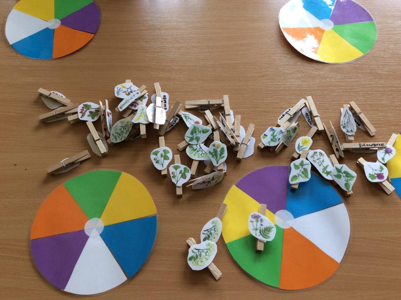 Čarovné bylinky ve družince - 15