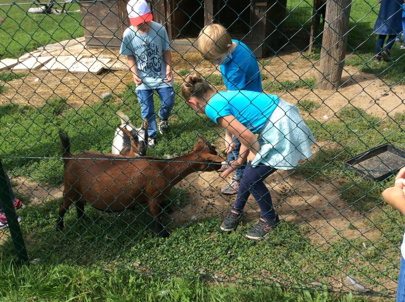 Družinka v zahradnictví - 9