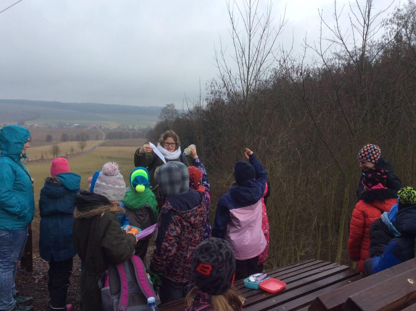 Vycházka k lesu - 10