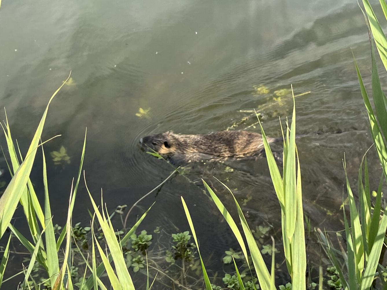 Adaptační pobyt šesťáků- den druhý - 10