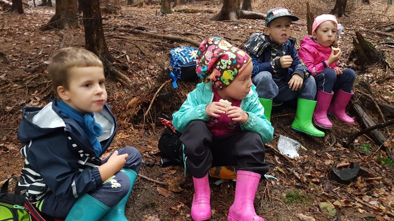 SOVIČKY: ,,VÝPRAVA DO LESA" - 28