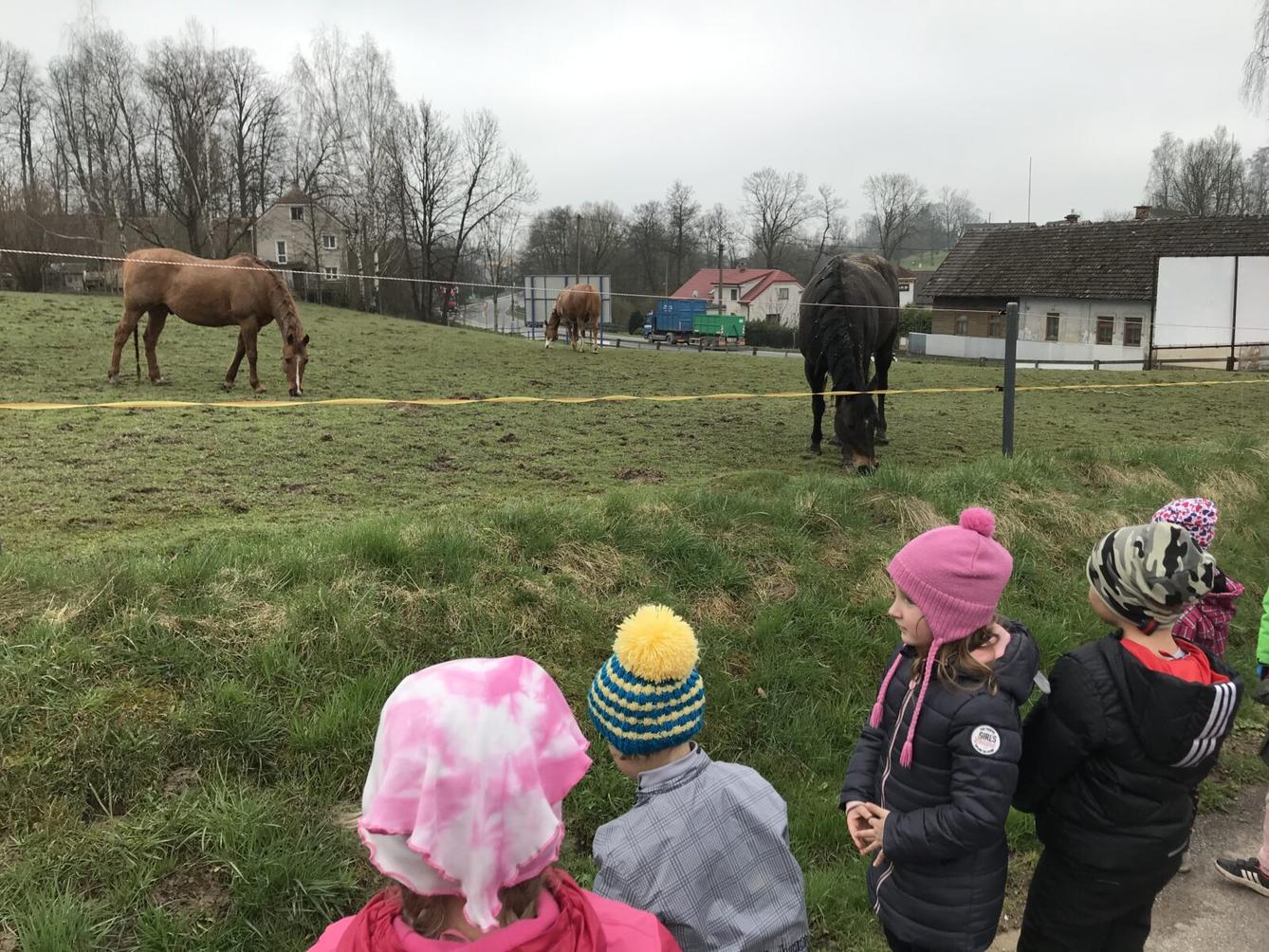 PŘEDŠKOLÁCI ,,VÝPRAVY ZA ZVÍŘÁTKY" - 18