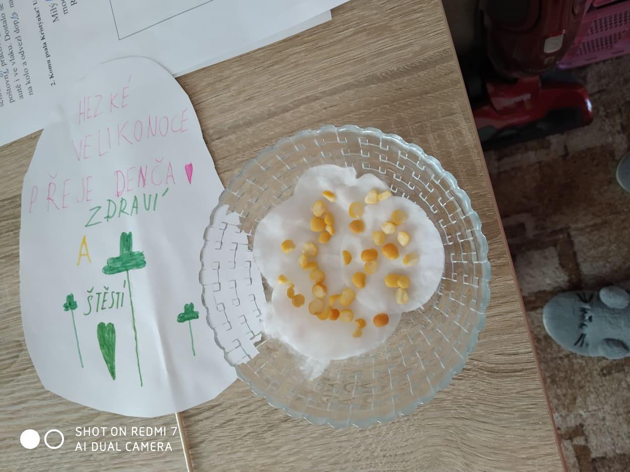 Velikonoce u třeťáčků 14. 4. - 9