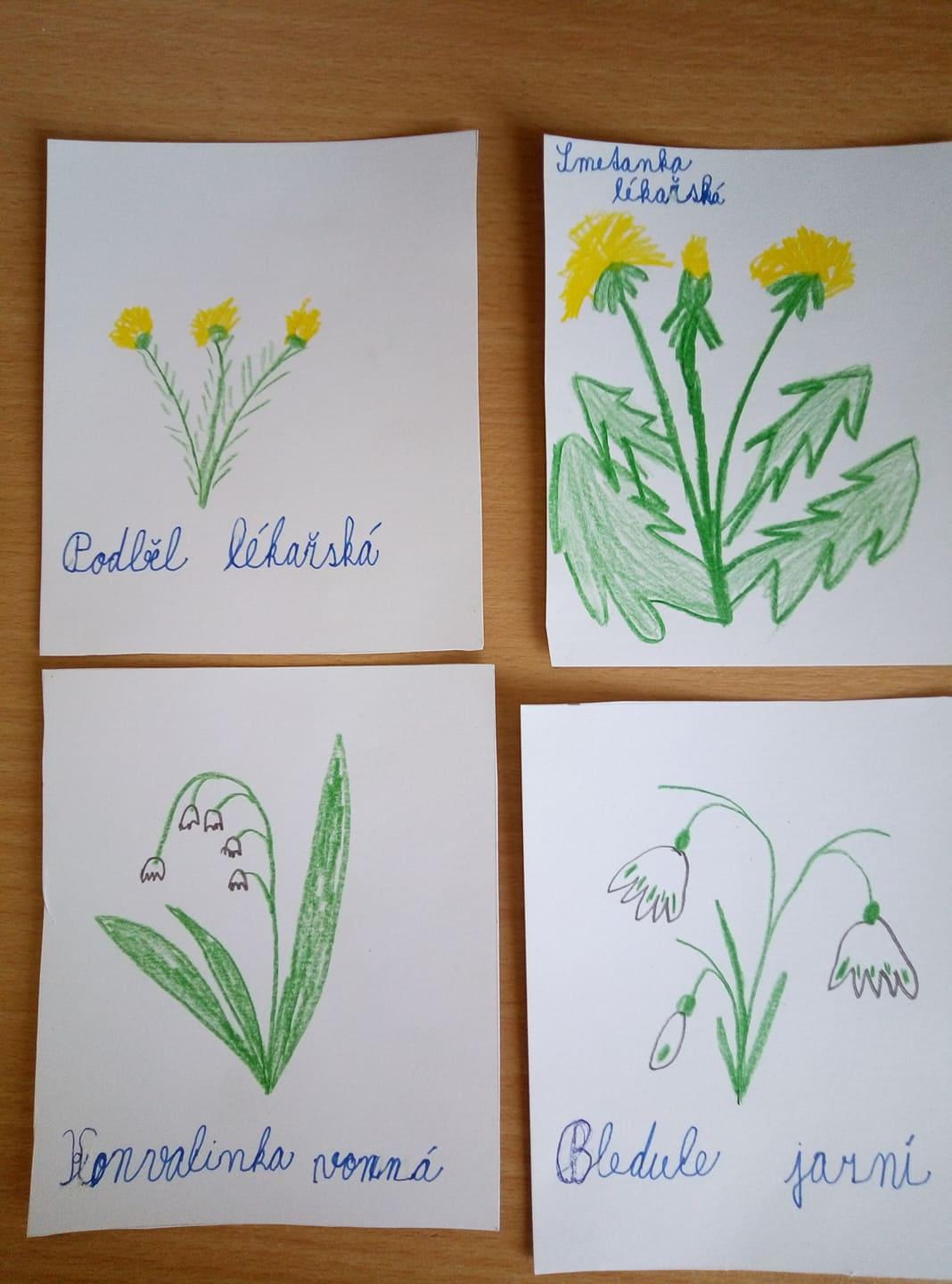 Den Země od třeťáčků 22. 4. - 8