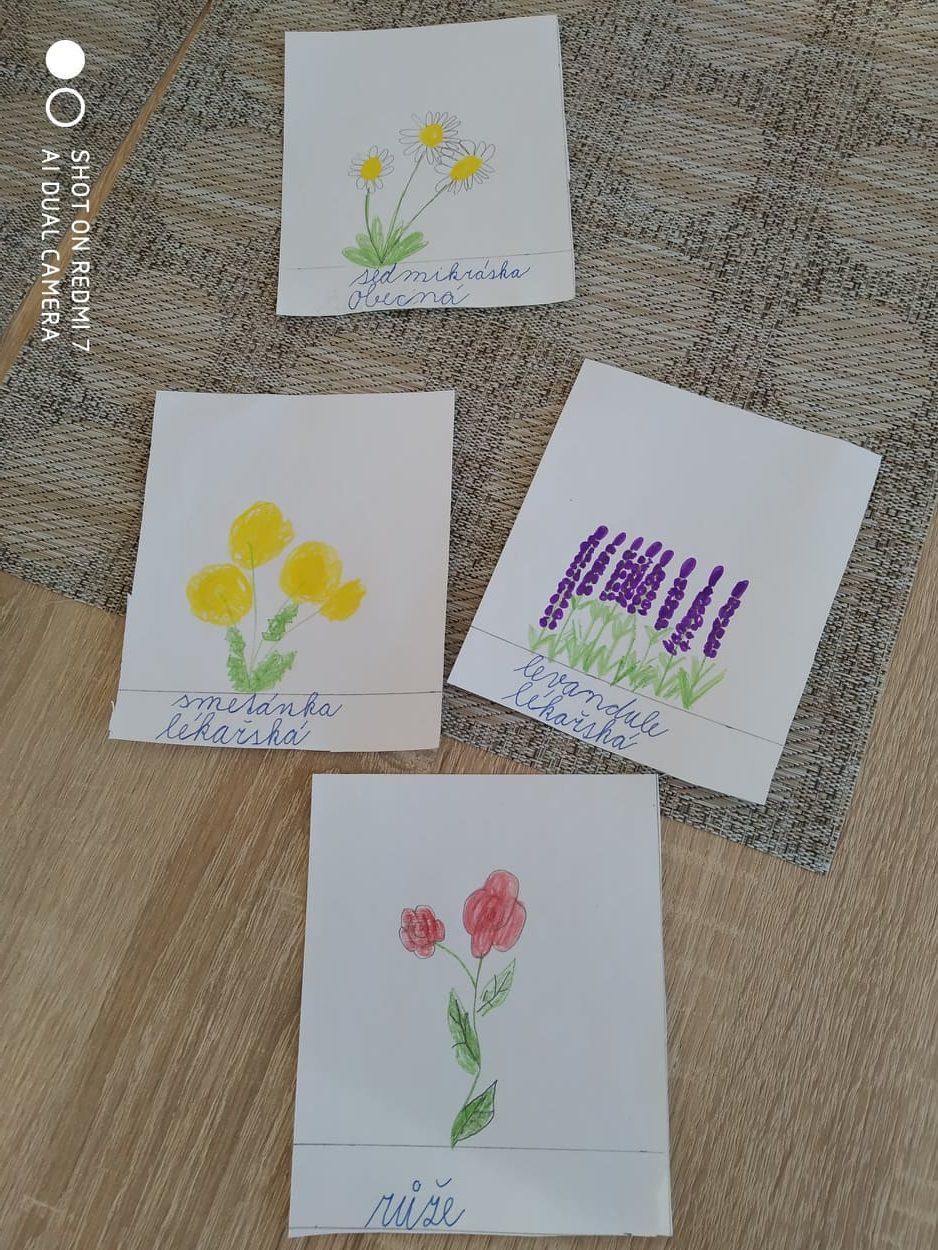 Den Země od třeťáčků 22. 4. - 9