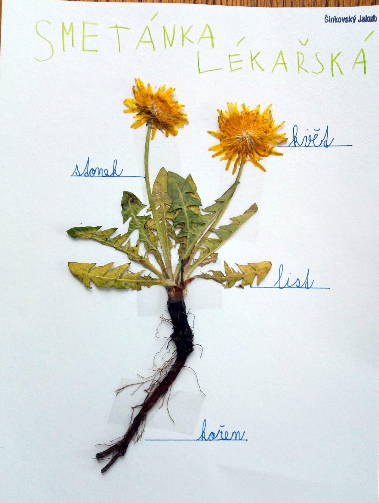 Geohrátky ve 3. třídě 10. 5. - 9