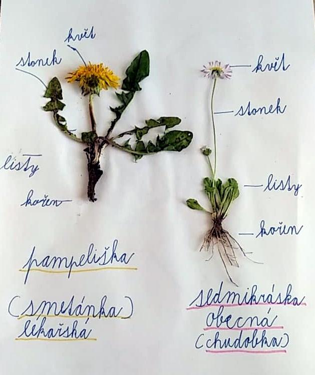 Geohrátky ve 3. třídě 10. 5. - 10