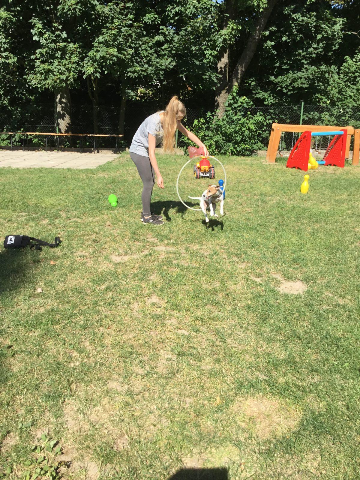 Vzpomínka na prázdniny - cvičení s pejskem - 16