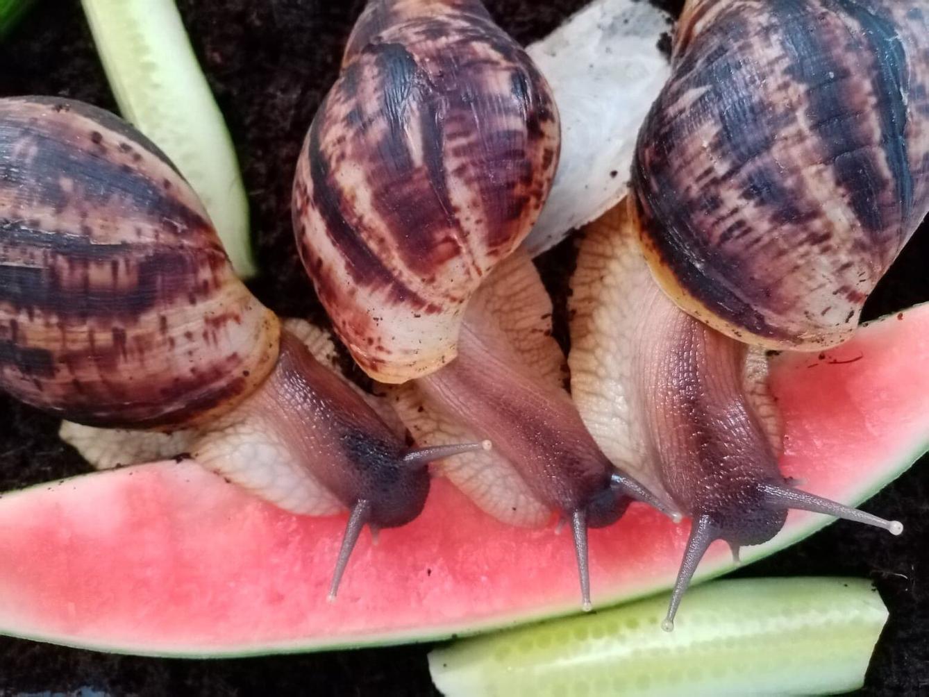 Čtenářská dílna ve 3. třídě, 22. 5. - 8