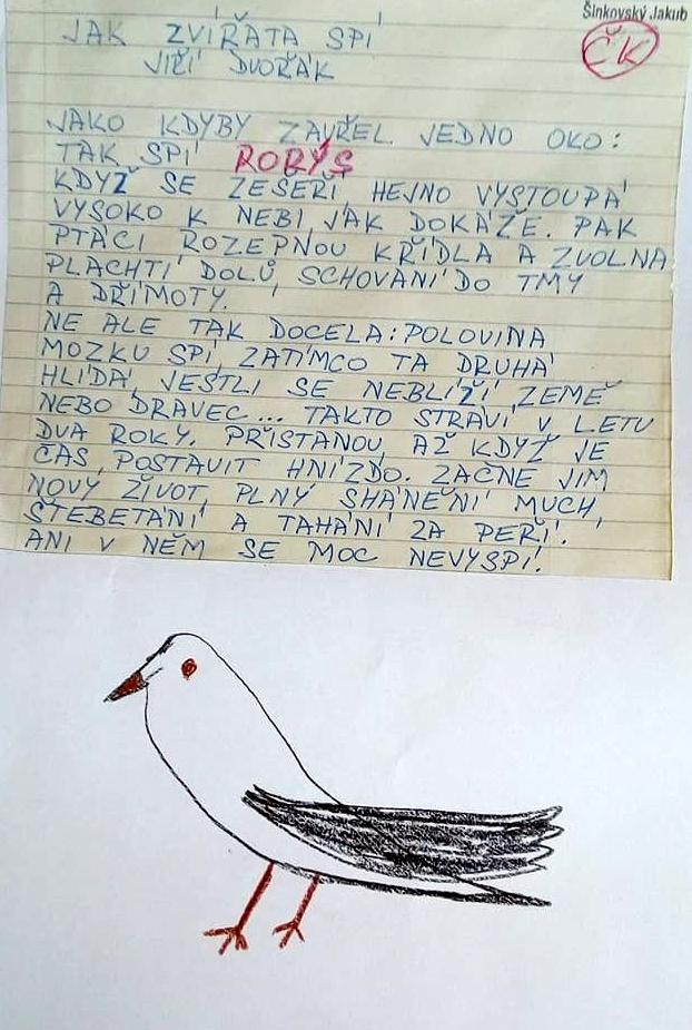 2. online čtenářský klub 15. 5. - 3