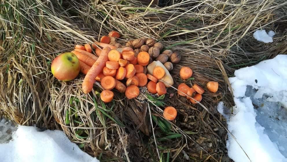 Po stopách zvířátek...družinka - 9