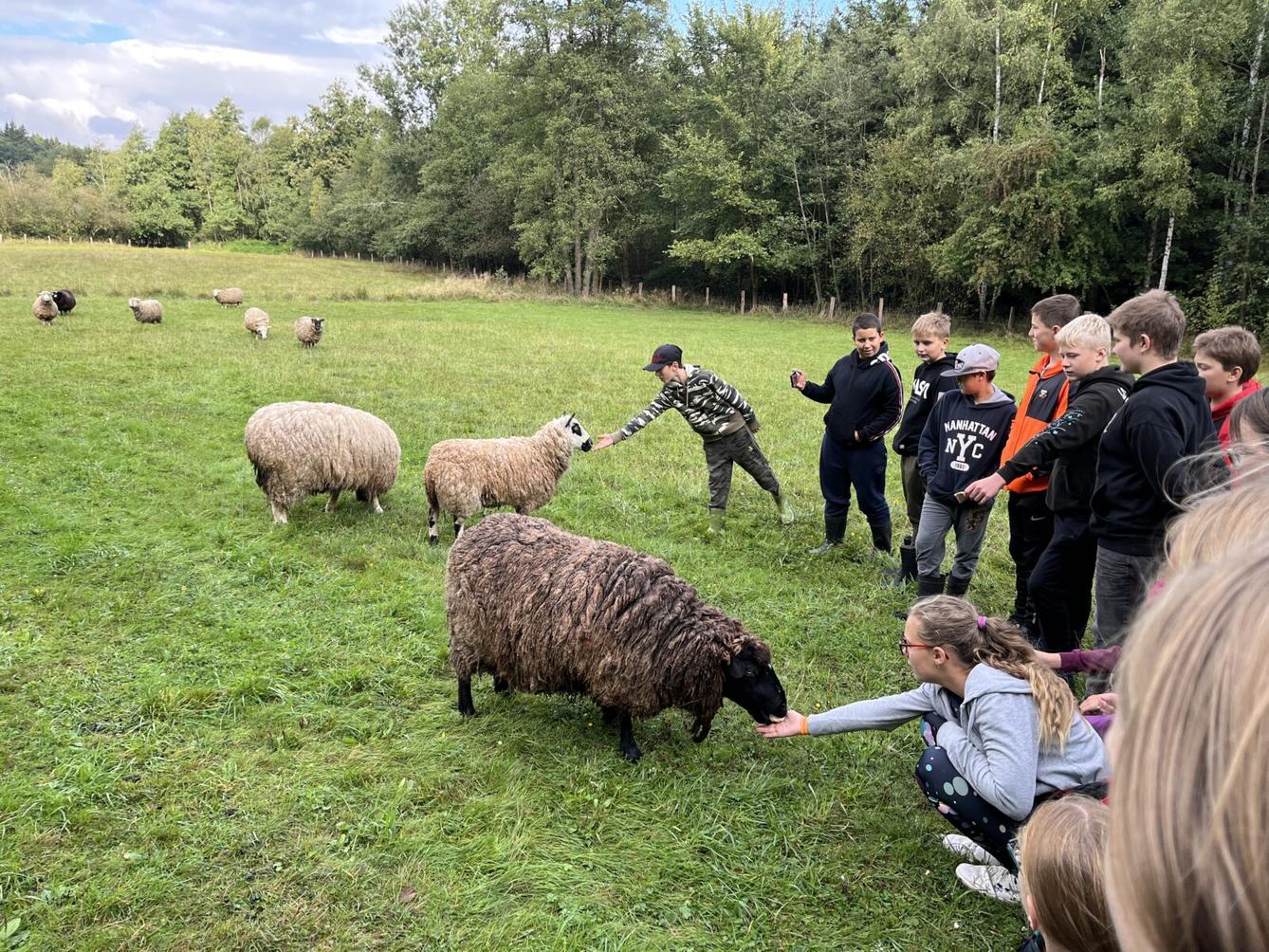 Adaptační pobyt šesťáků- den druhý - 12