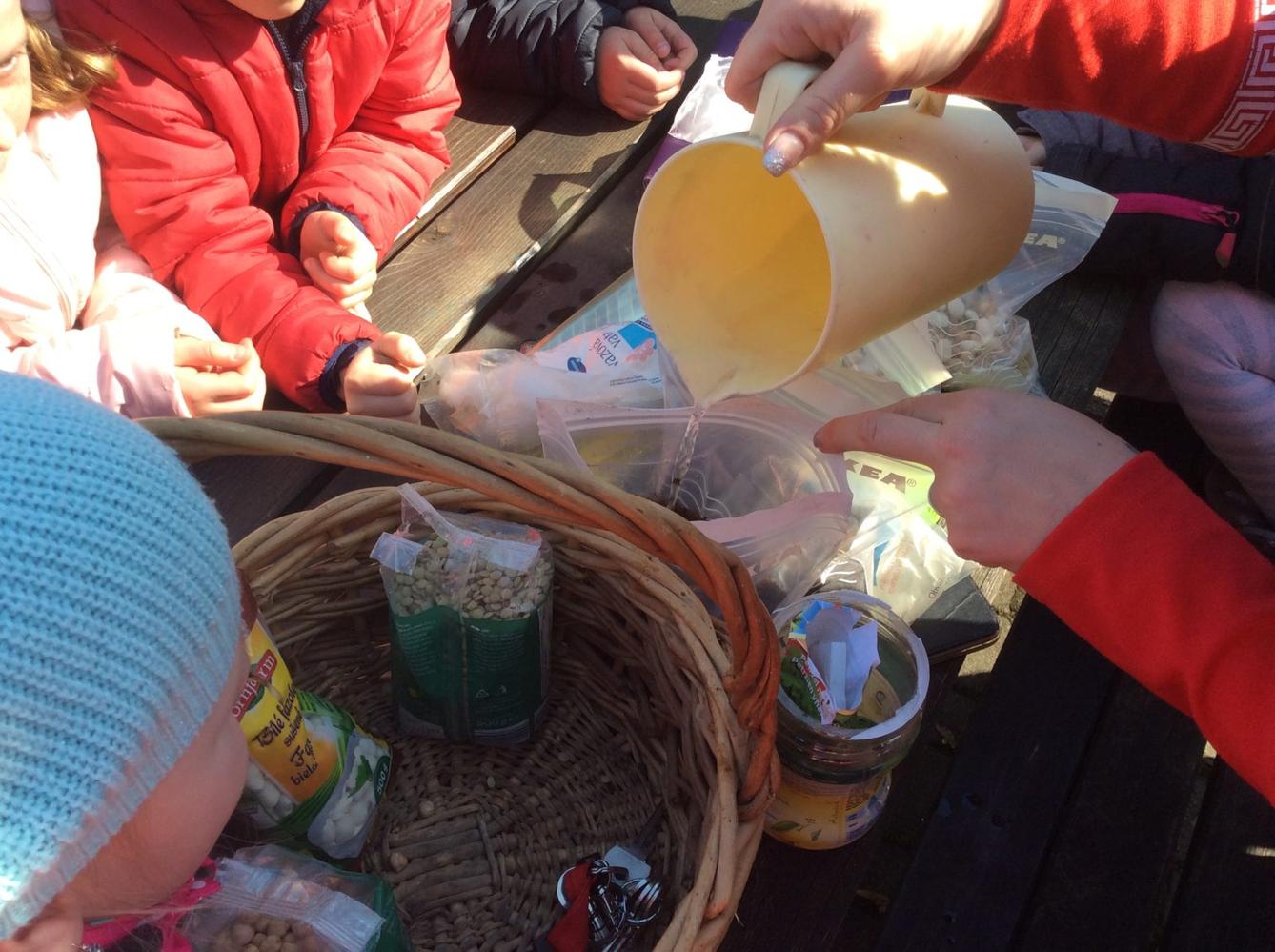 Ekohraní - den 4. - 5