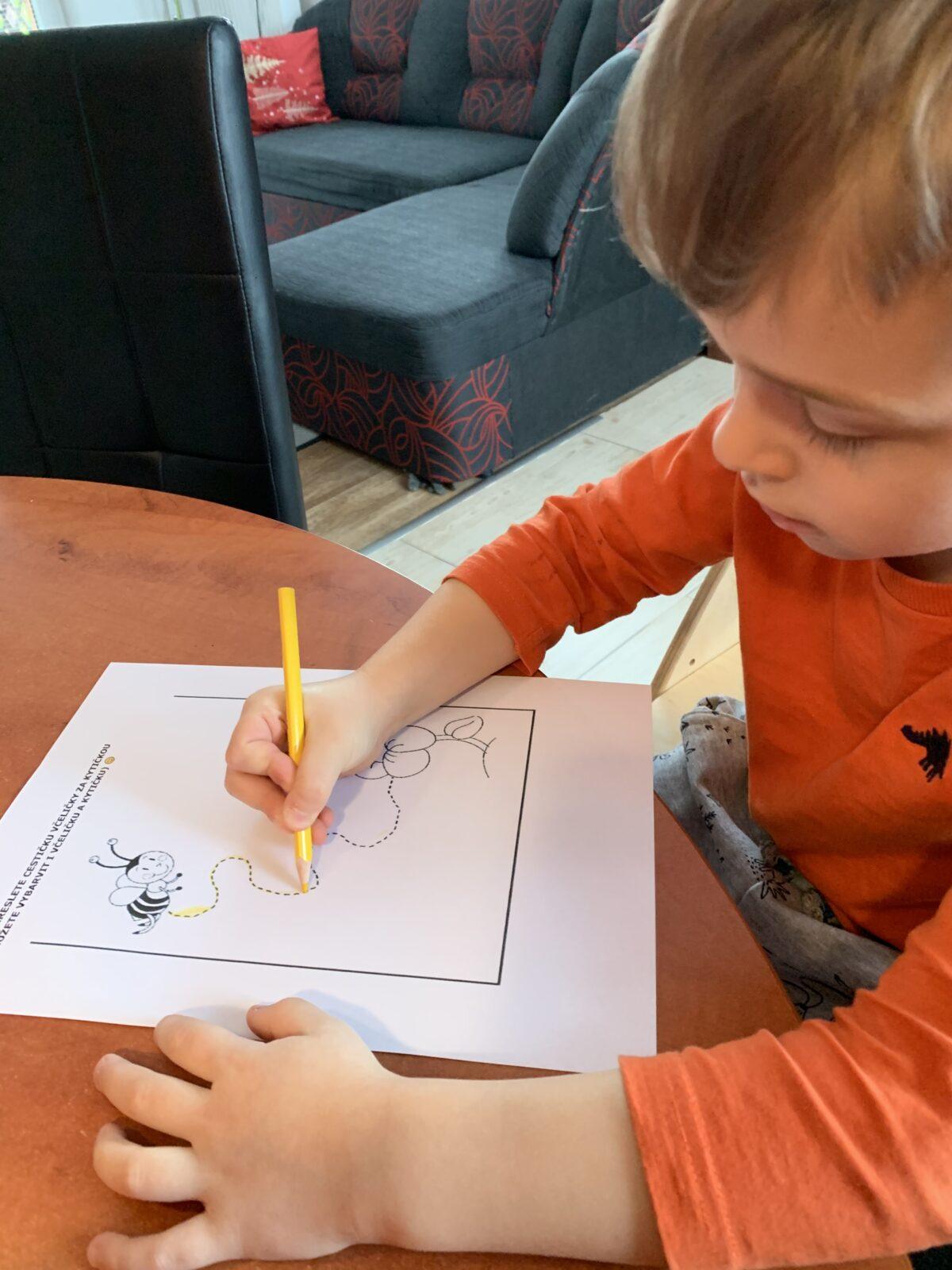 Distanční výuka (O zakletých stromech) - mladší děti :-) - 7