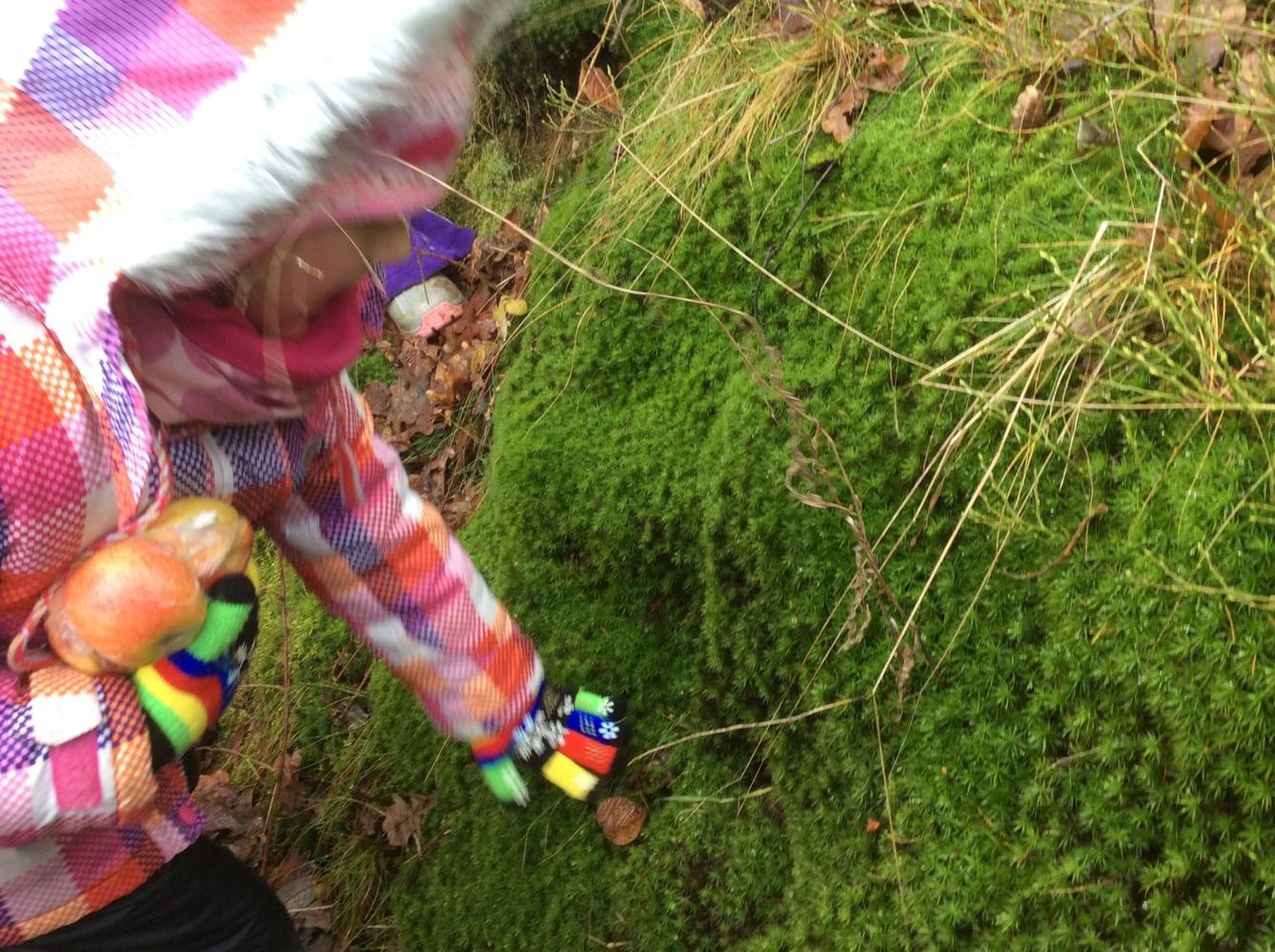 Vycházka k lesu - 11