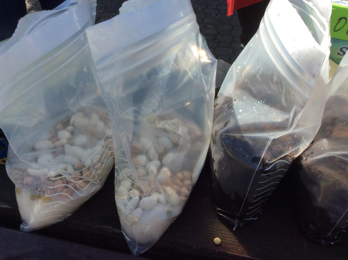 Ekohraní - den 4. - 7