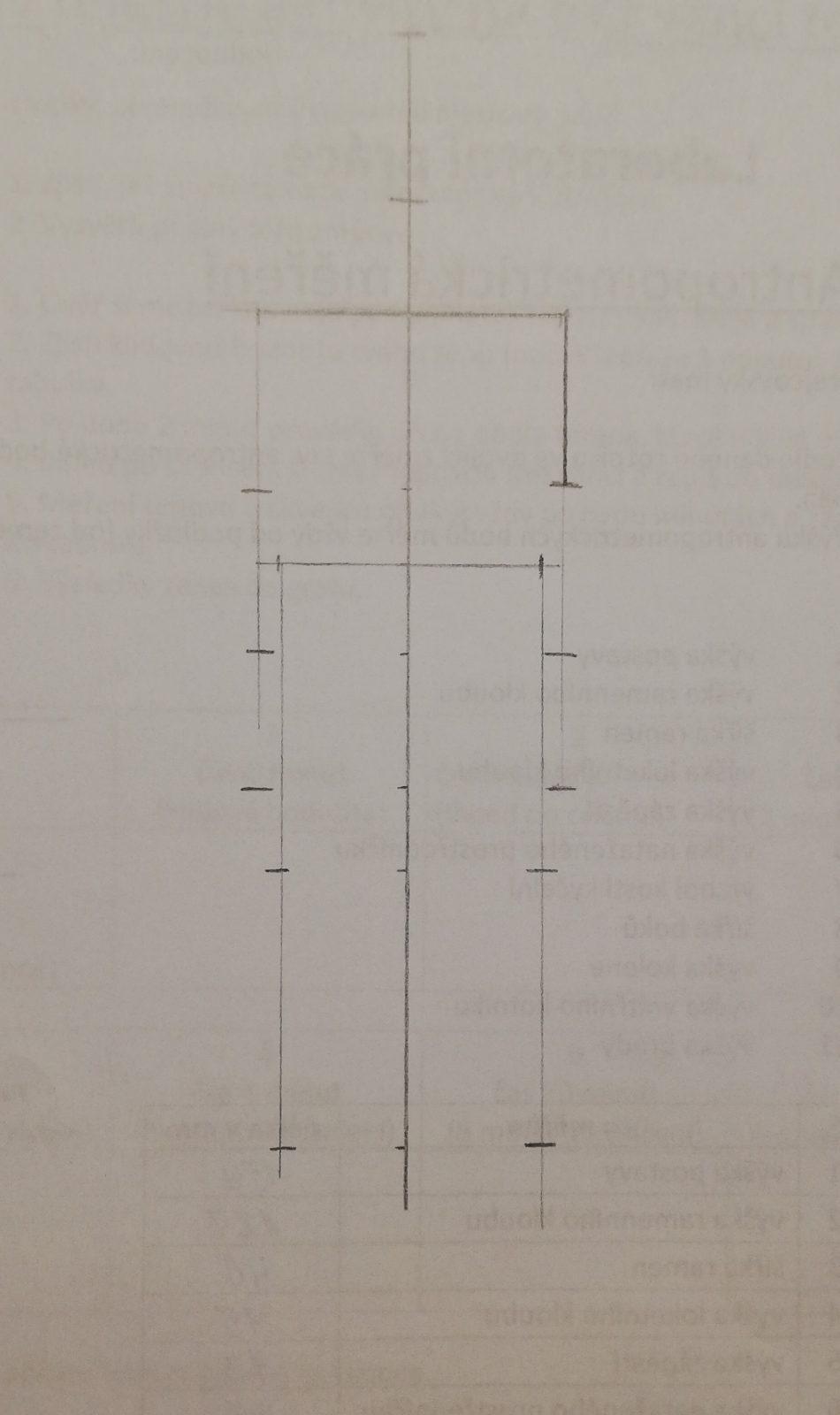 Laboratorní práce našich "osmáků" - 1