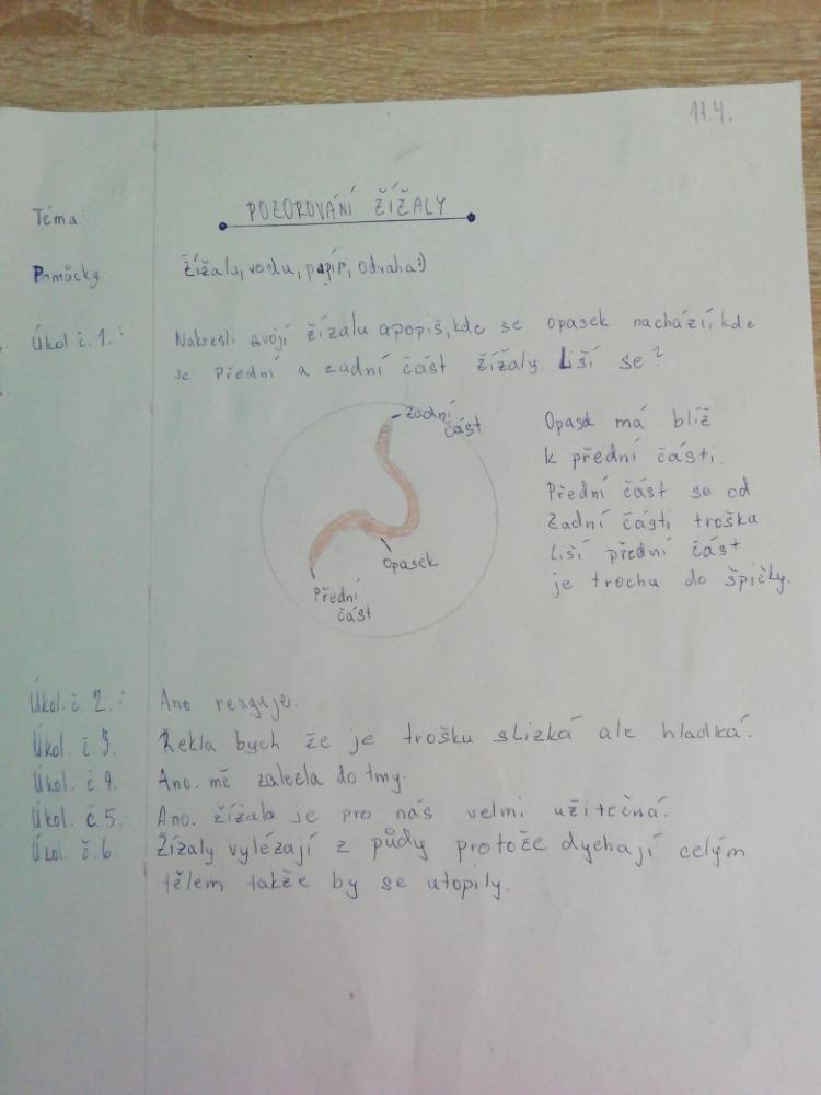 Jak zkoumali šesťáci žížaly - 3
