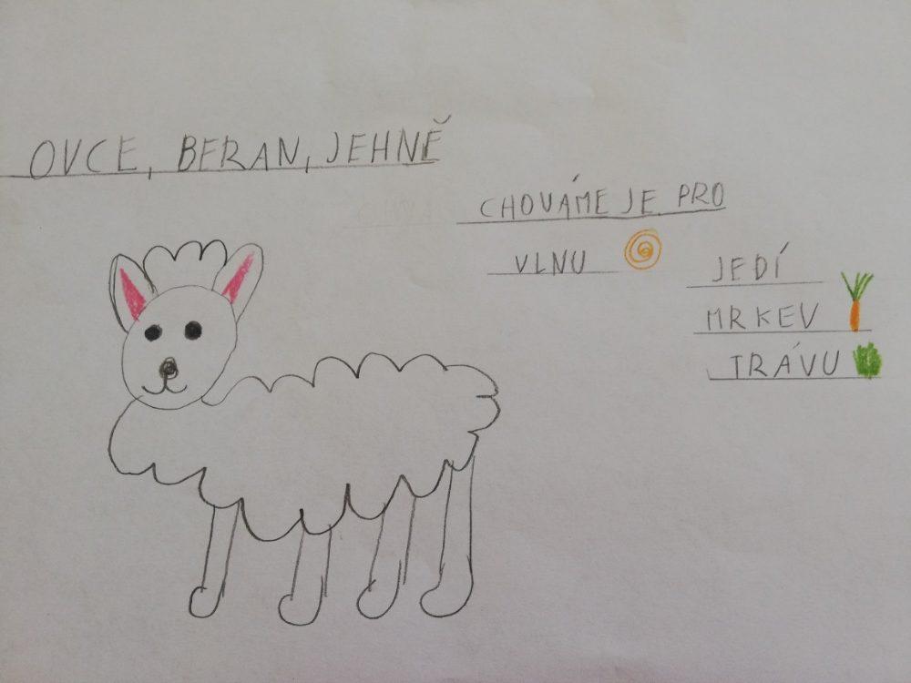 Výstupy druháčků z domácího učení 16. 4. - 4