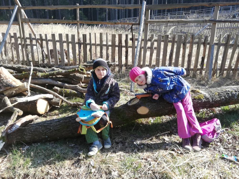 Aktivity druháčků v rámci domácího učení - 1