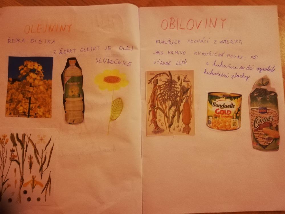 Distanční výuka ve třetí třídě 23. 10. - 1