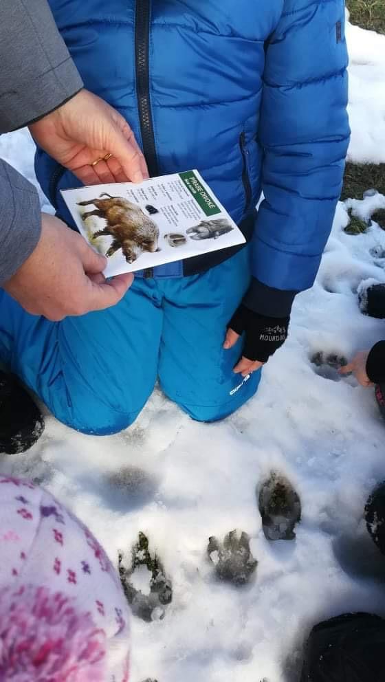 Po stopách zvířátek...družinka - 15