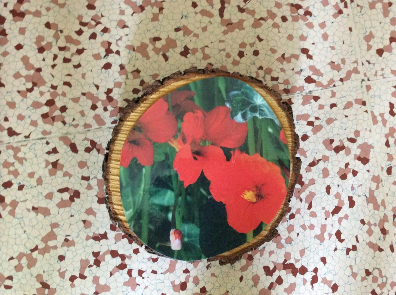 Čarovné bylinky ve družince - 18