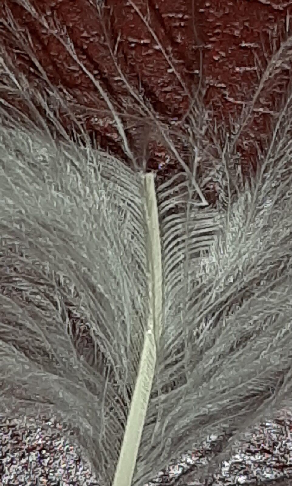 Laboratorní práce u sedmáků - 5