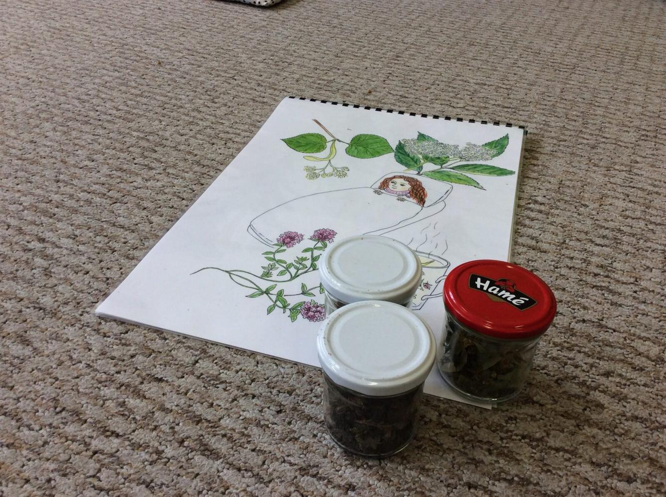 Čarovné bylinky ve družince - 19