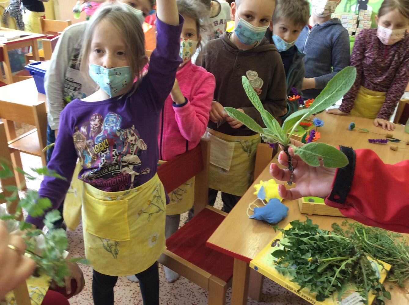 Čarovné bylinky ve družince - 22