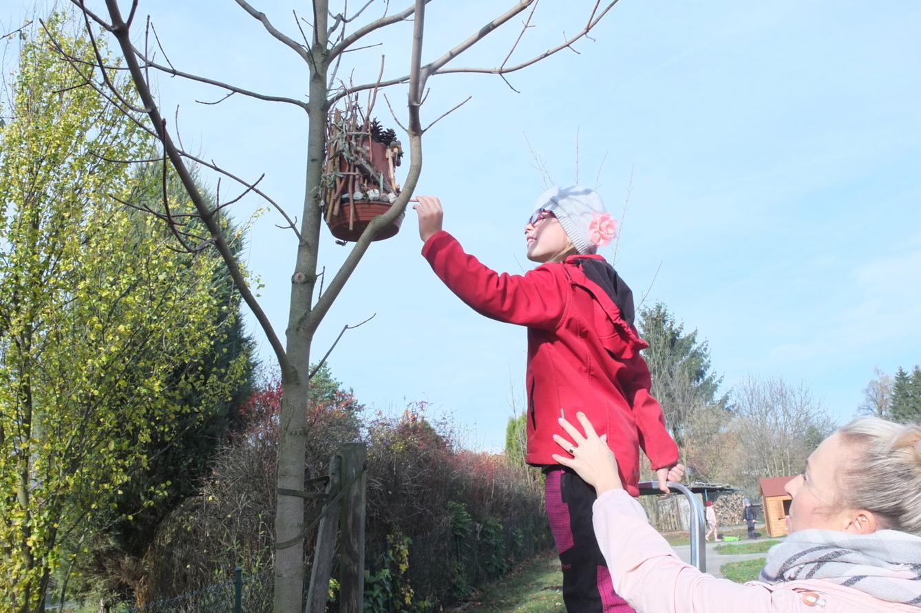 Sázení keříků s rodiči - 1