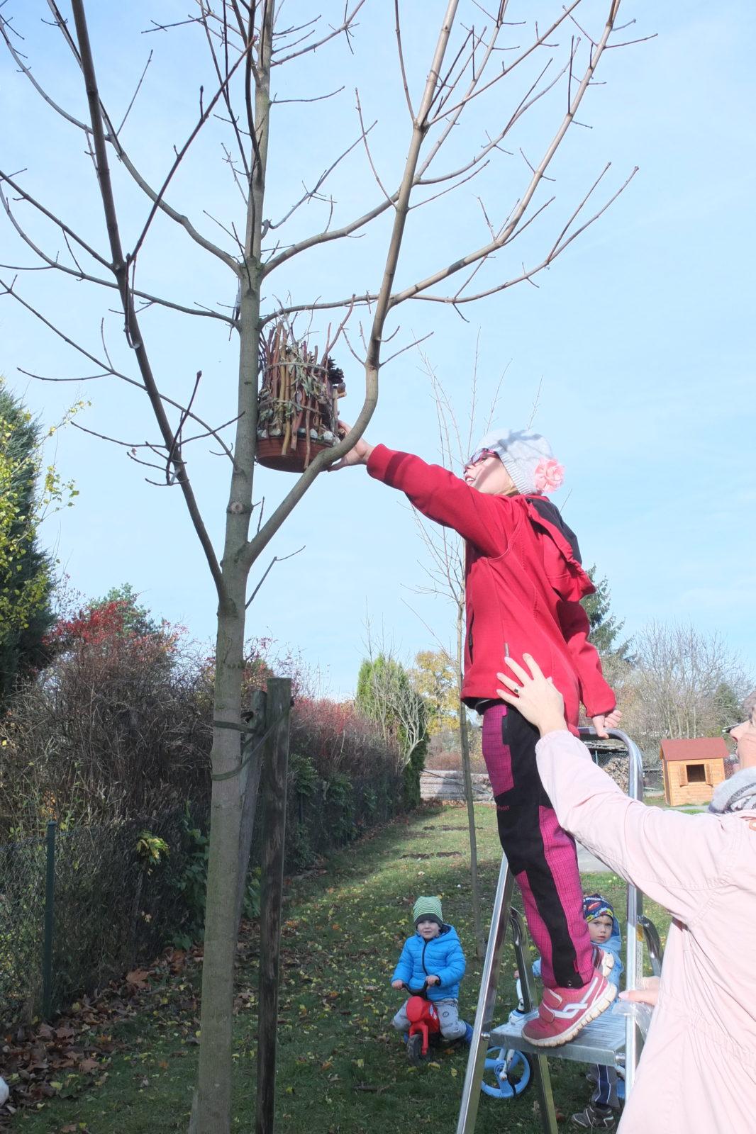 Sázení keříků s rodiči - 2