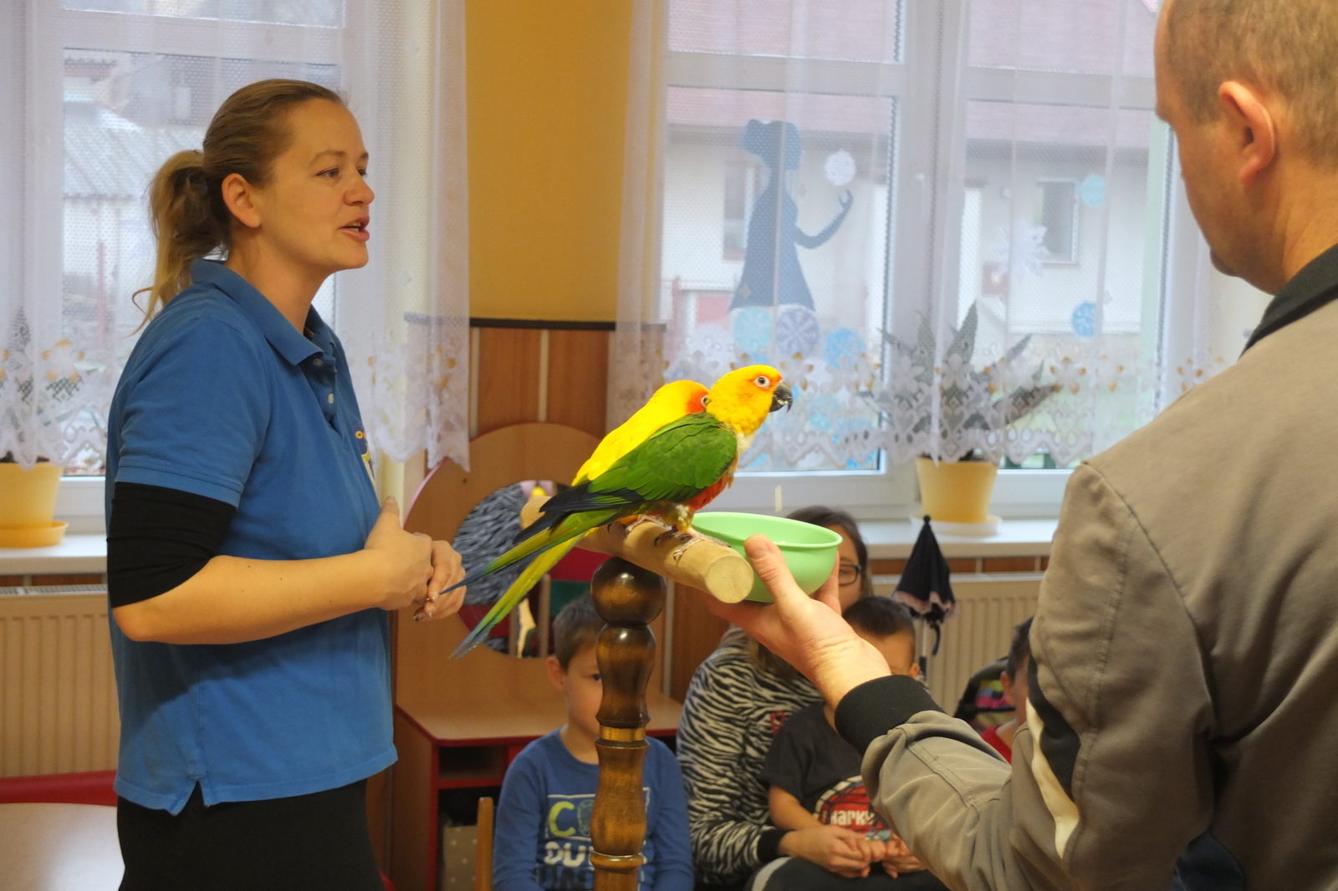 Létající poklady - 4