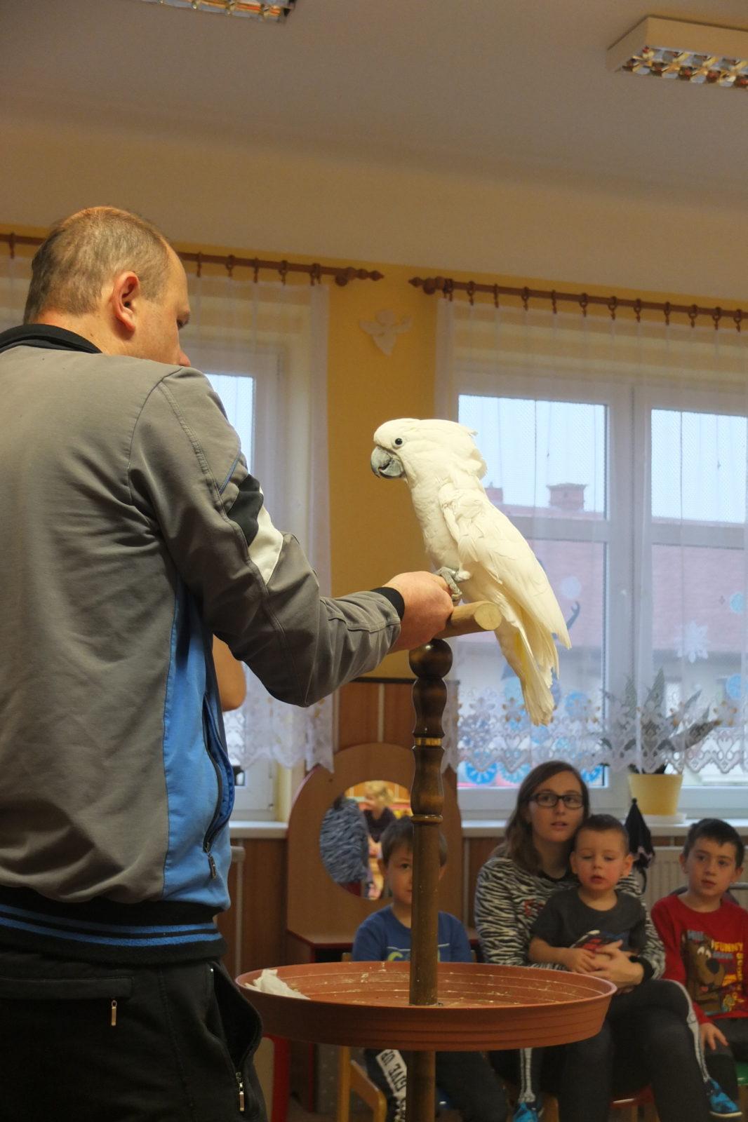 Létající poklady - 8