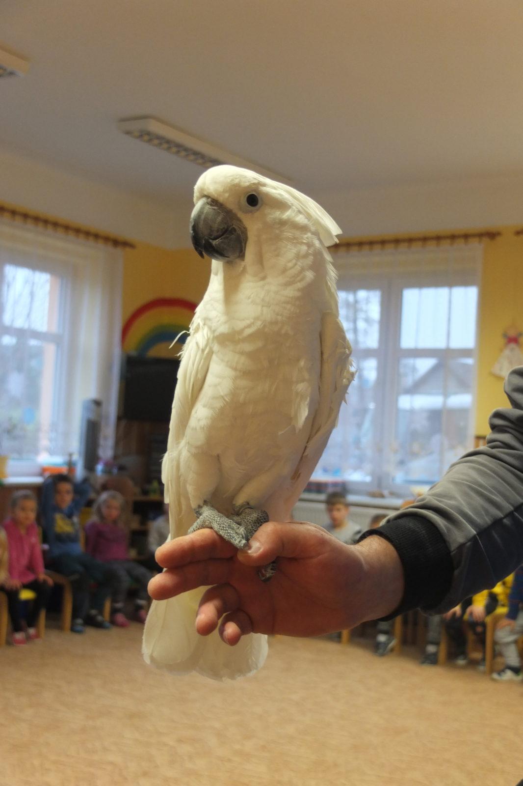 Létající poklady - 9