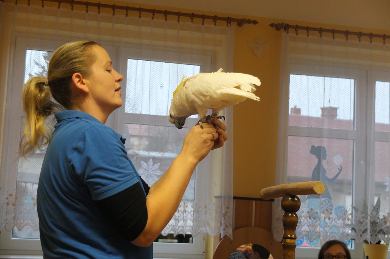 Létající poklady - 11