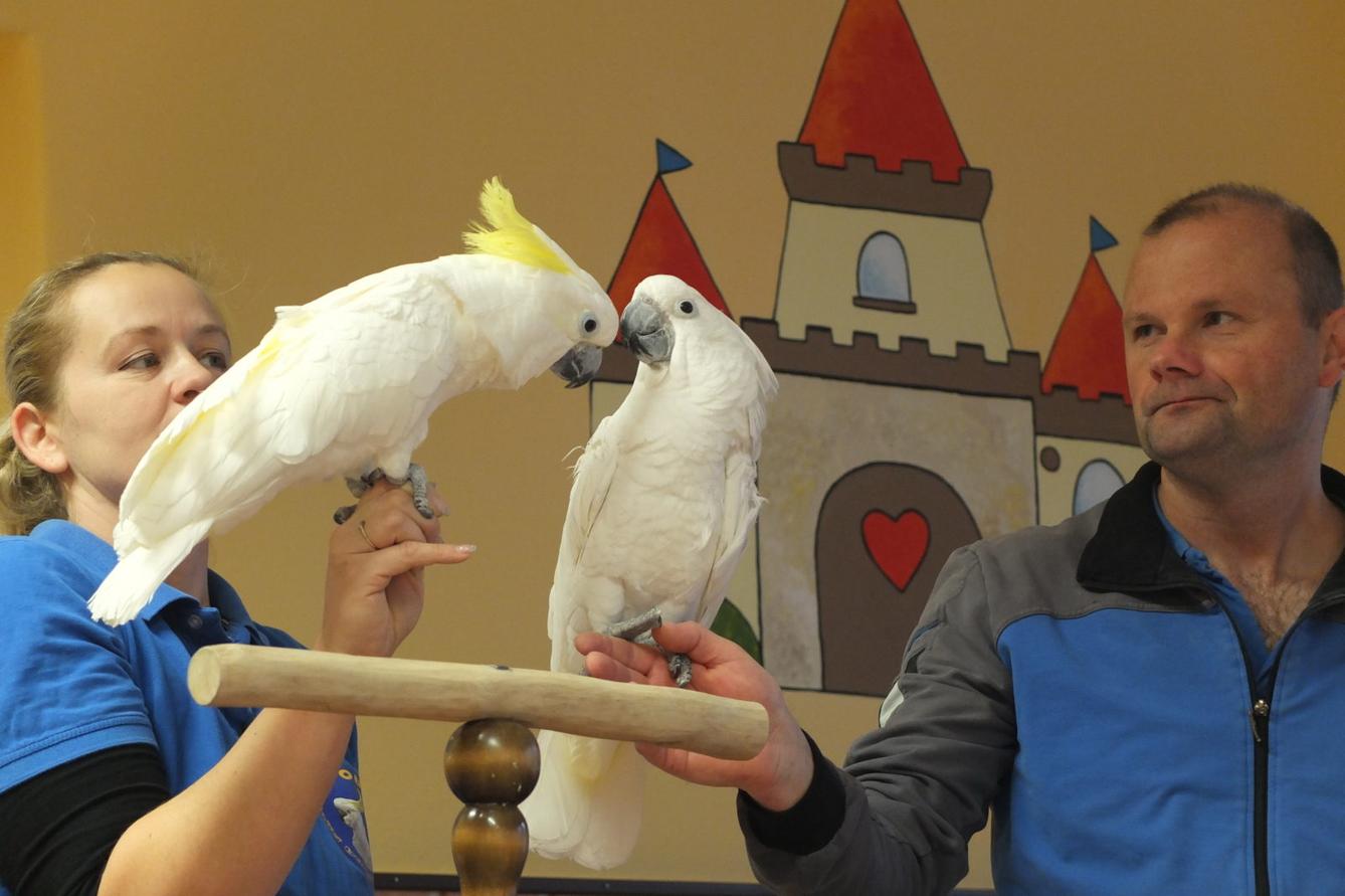 Létající poklady - 13