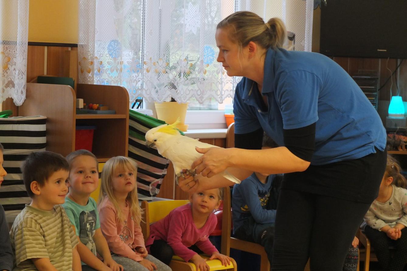 Létající poklady - 15