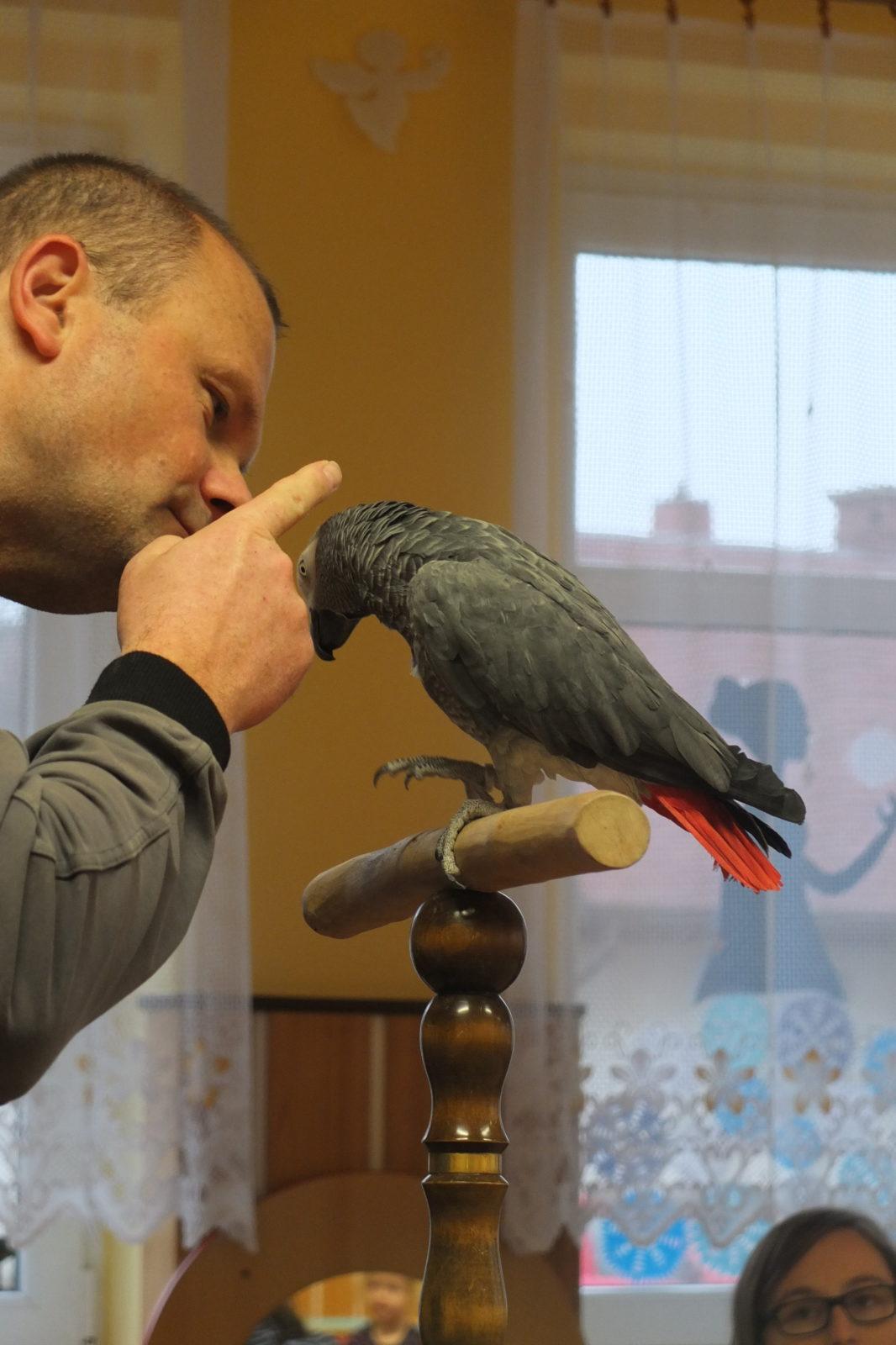 Létající poklady - 17