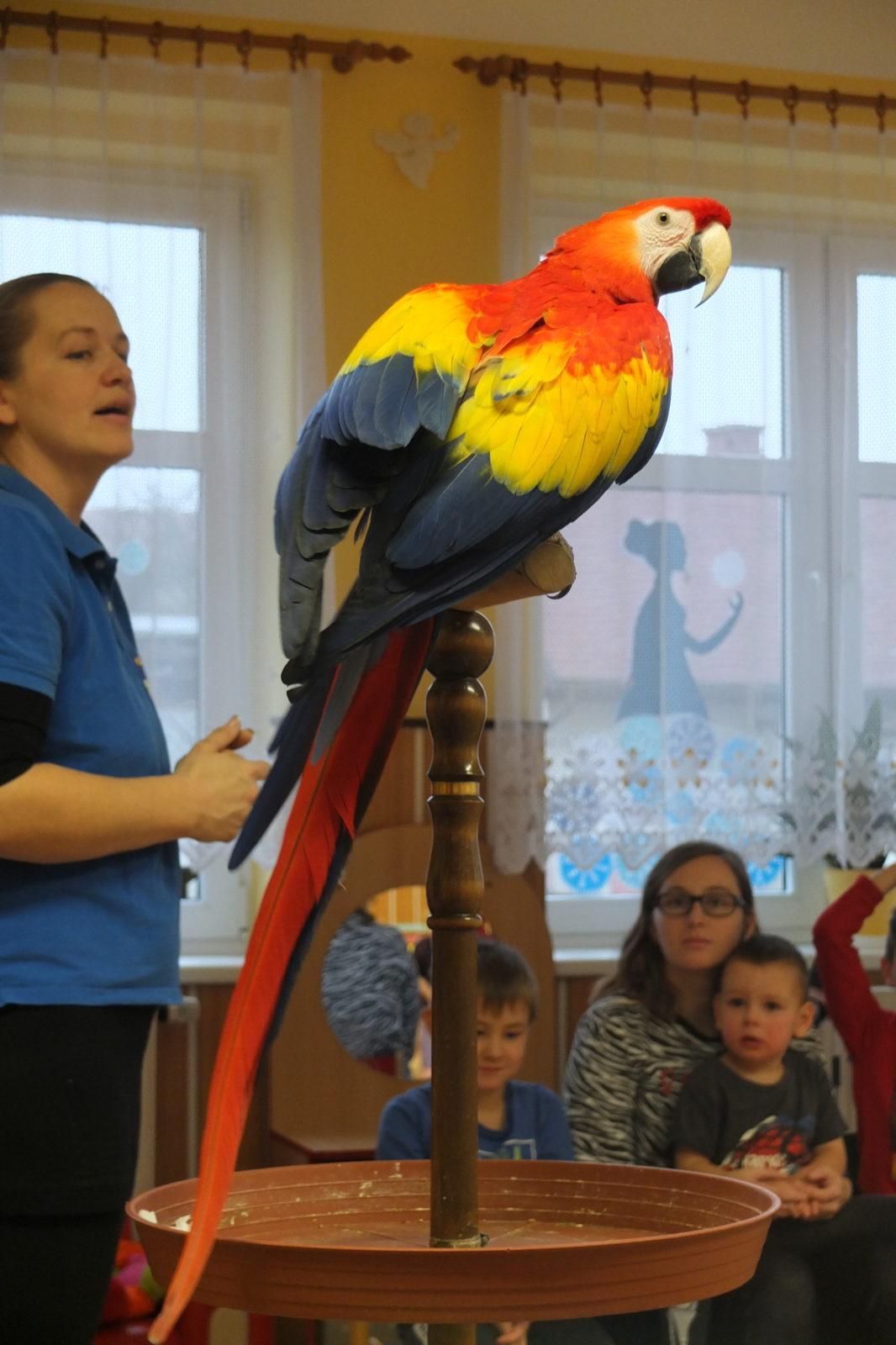 Létající poklady - 18