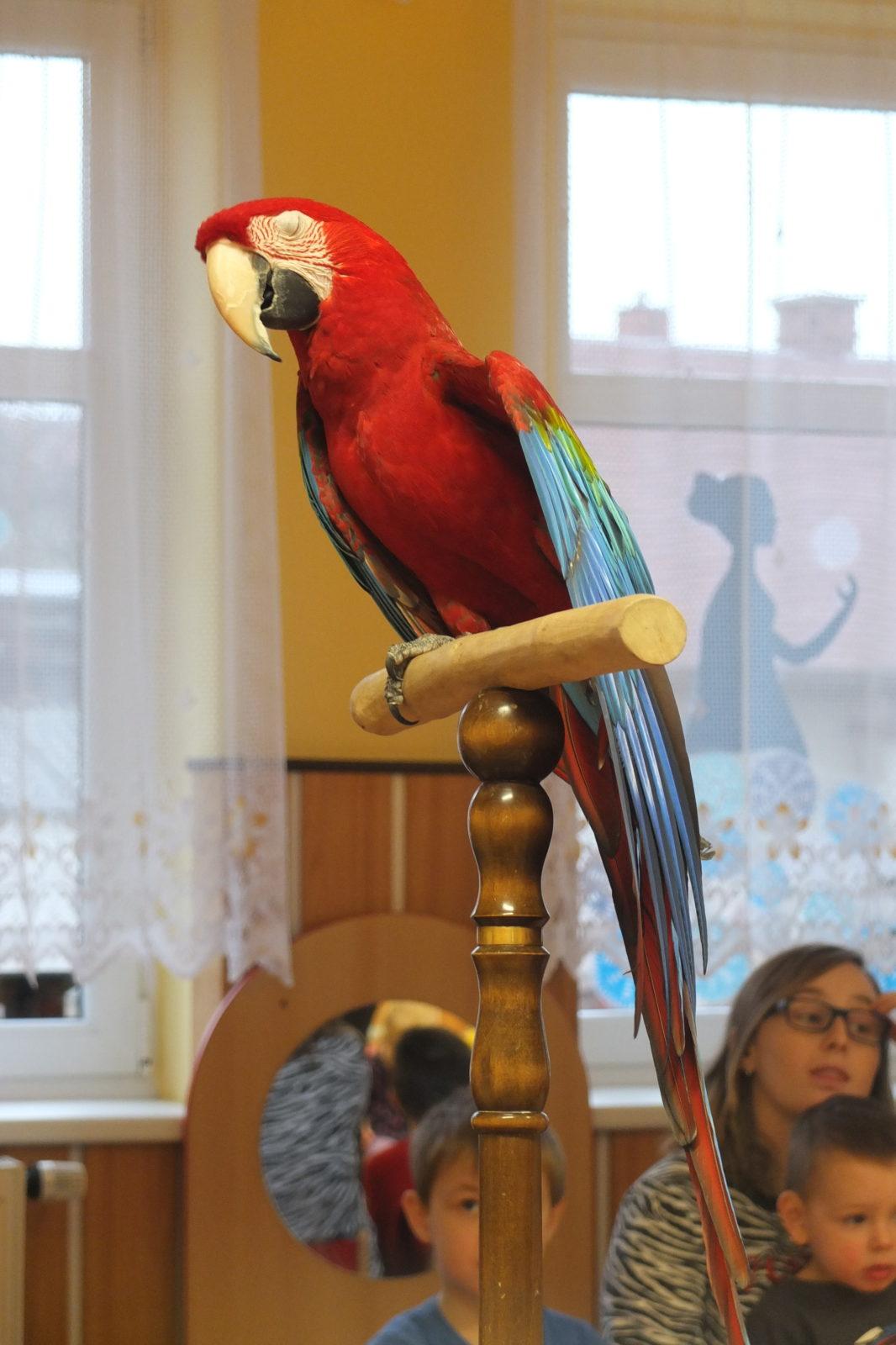 Létající poklady - 21