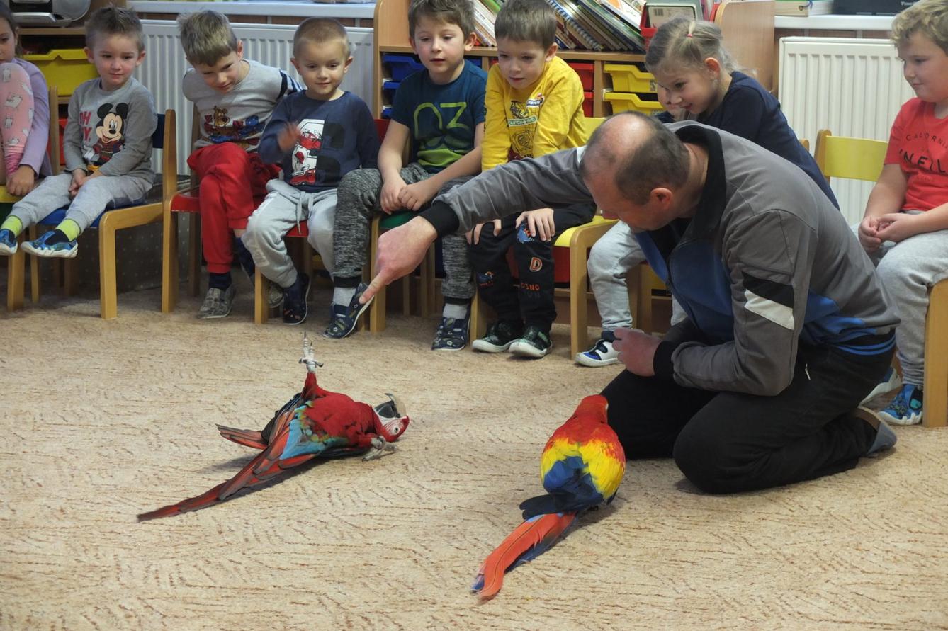 Létající poklady - 24