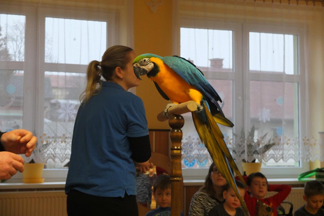 Létající poklady - 25