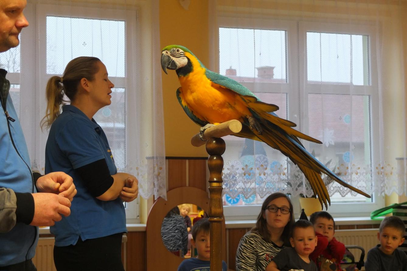 Létající poklady - 26