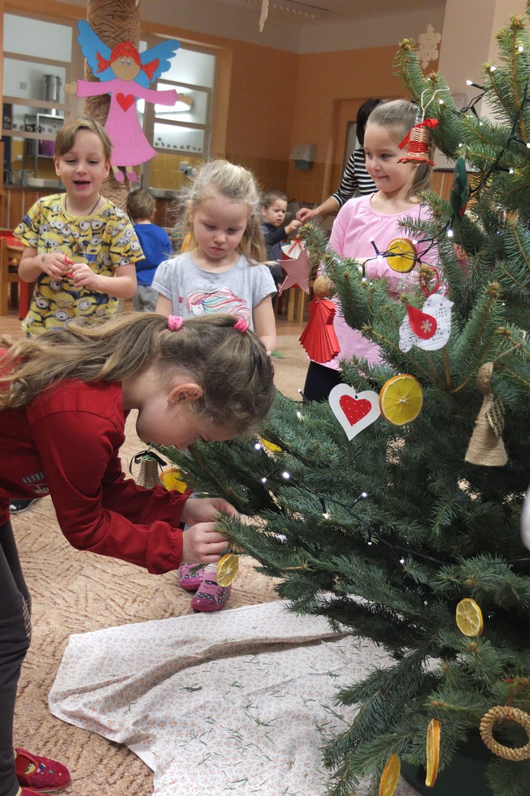 Strojení stromečku - 7