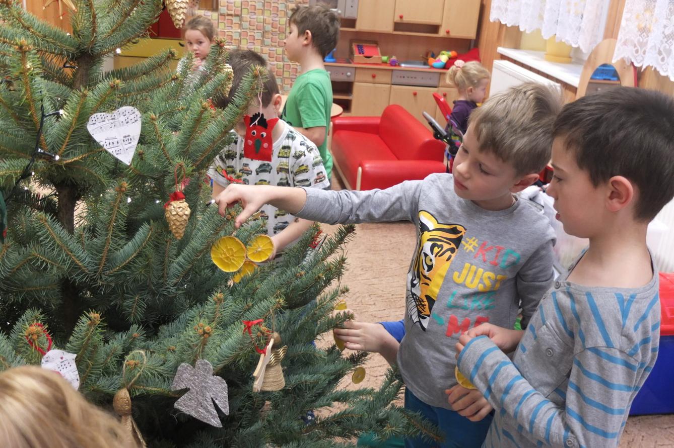 Strojení stromečku - 11